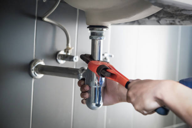 Best Plumbing Inspection Services  in Marine, IL